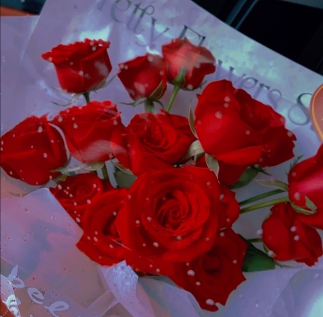 复古风红玫瑰图片|"玫瑰终会枯萎,但属于他的浪漫至死