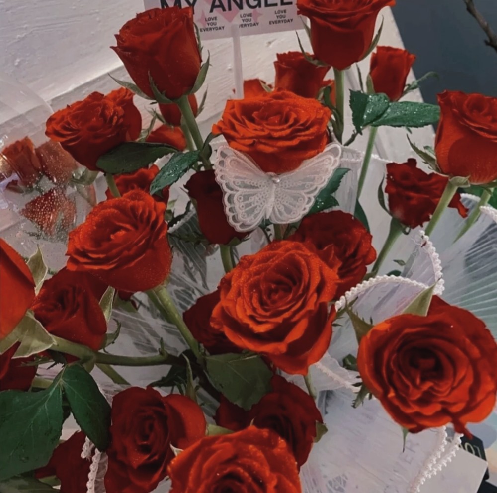 复古风红玫瑰图片|"玫瑰终会枯萎,但属于他的浪漫至死