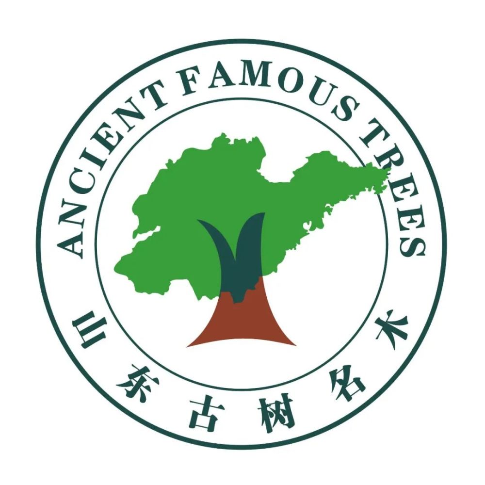 山东省古树名木标识征集网络评选开始啦!