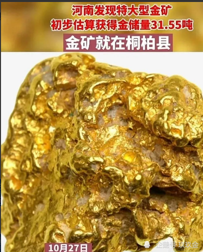 河南省矿局南阳桐柏县朱庄镇发现一个大型金矿