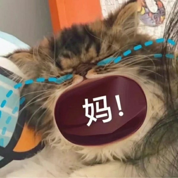 妈咪贴心小棉袄专用表情包合集