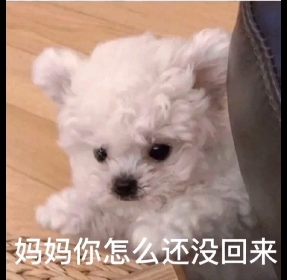 妈咪贴心小棉袄专用表情包合集