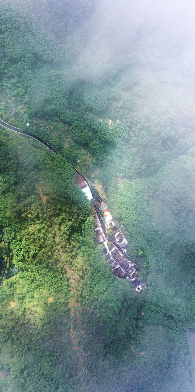 趣乡野!|中山五桂山和平村