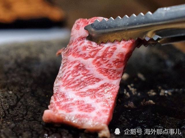 天价韩牛养成记韩国民众大呼吃不起了