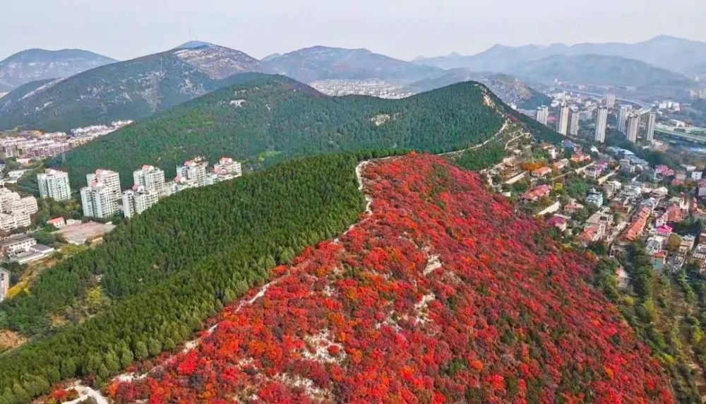 半是盛夏半是秋,网红蝎子山,红叶正当时,周末抓紧一起去瞧瞧吧