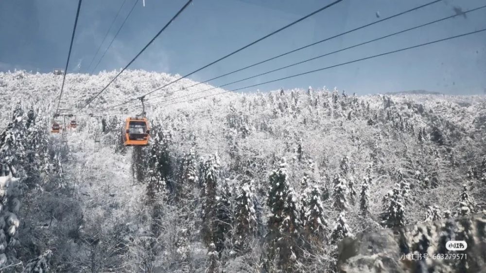 天府旅游名县|西岭雪山下雪了?走着,去西岭雪山"赶"雪