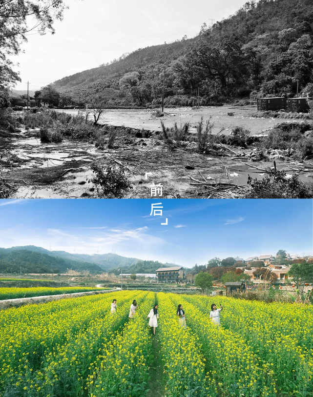 厦门大帽山农场:规划引领村庄走上振兴路
