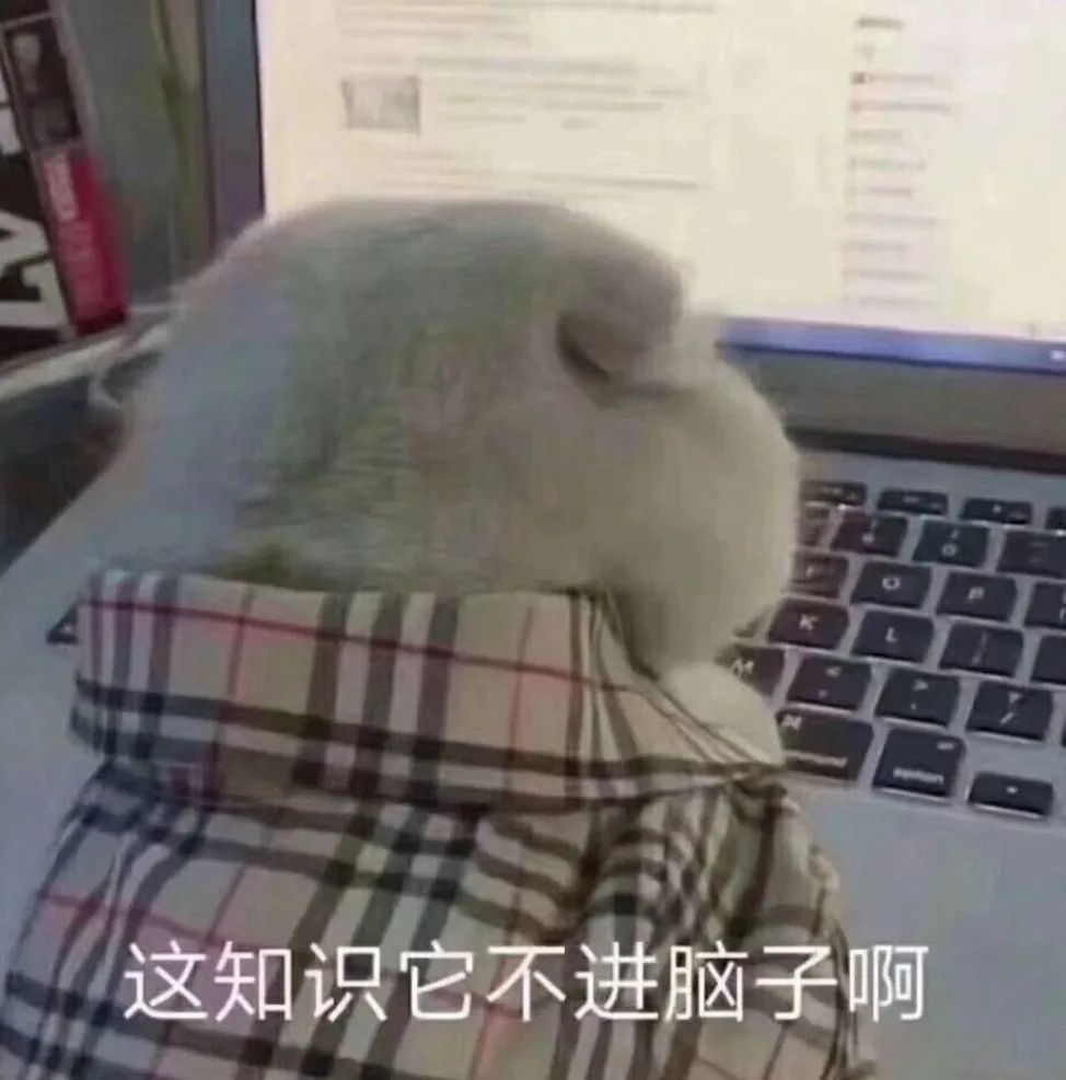 聊天必备表情包159可爱搞怪沙雕表情包