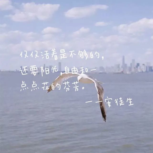 写给自己的励志文案