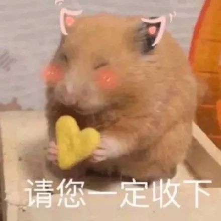 表情包|猫狗鸭仓鼠动物沙雕系列