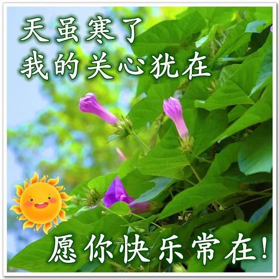 秋天早安问候语表情图片大全清晨祝福早上好问候语温馨语录