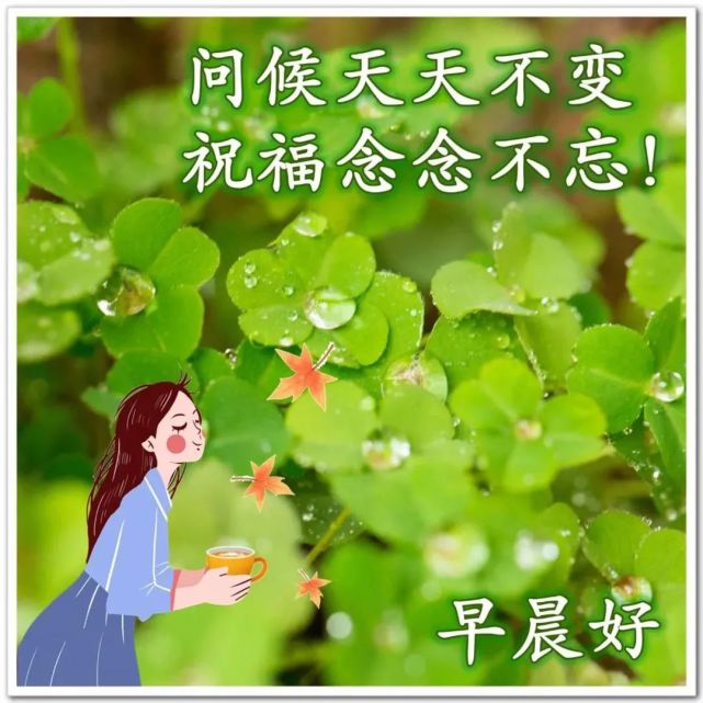 微信最美清晨短信祝福大家早上好,朋友圈新版早安温馨