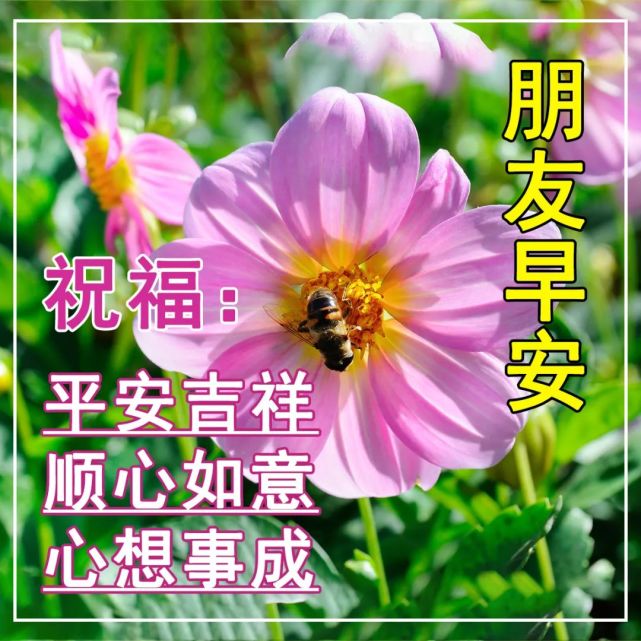 最新创意唯美的早安祝福图片带字温馨,好看的早上好