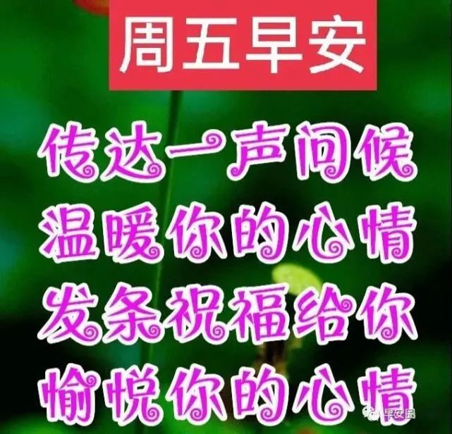 清晨问候祝福动态图片集锦秋日满满祝福动态表情包