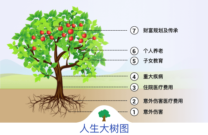 画图说保险,两个版本的大树理论图