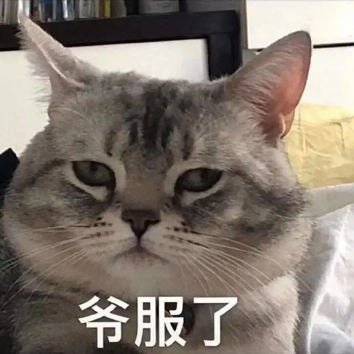 表情包精选我这个该死的漂亮女人