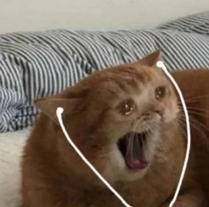 表情包爸我妈呢