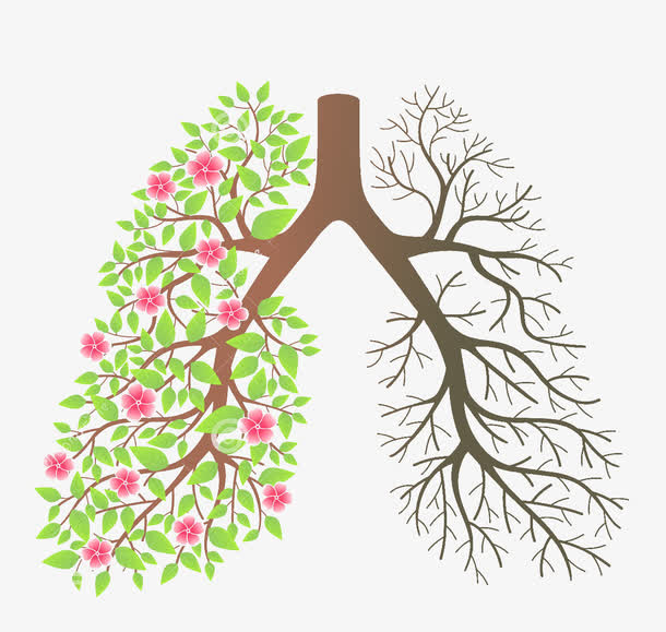 不过约有60%左右的中央型肺癌,在早期会有些症状表现.