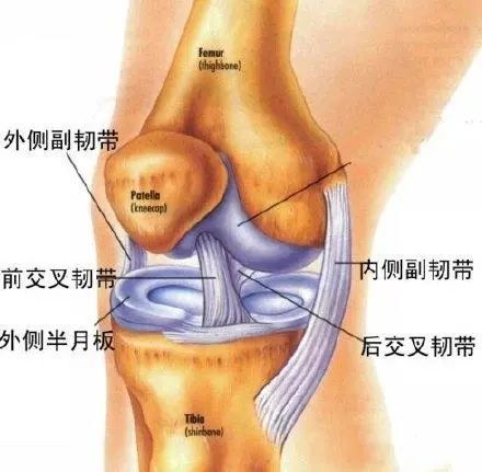 1,膝关节炎的影响但大致算下来也无非下面几个因素:导致膝盖活动受限
