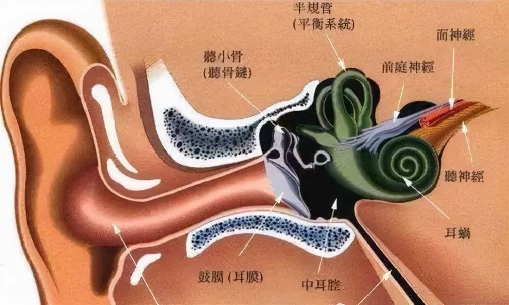 从病理角度上来说,这是一种位于中耳内的囊性结构,中耳胆脂瘤是产生角