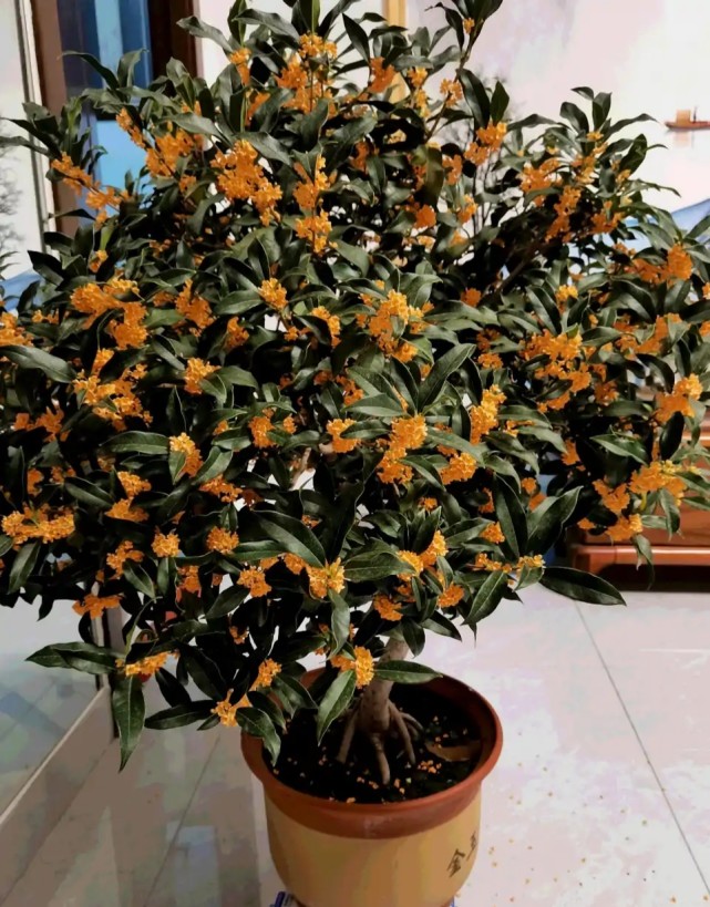 10大