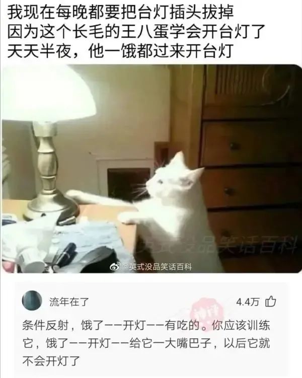 如何判断一个女生吊着你?