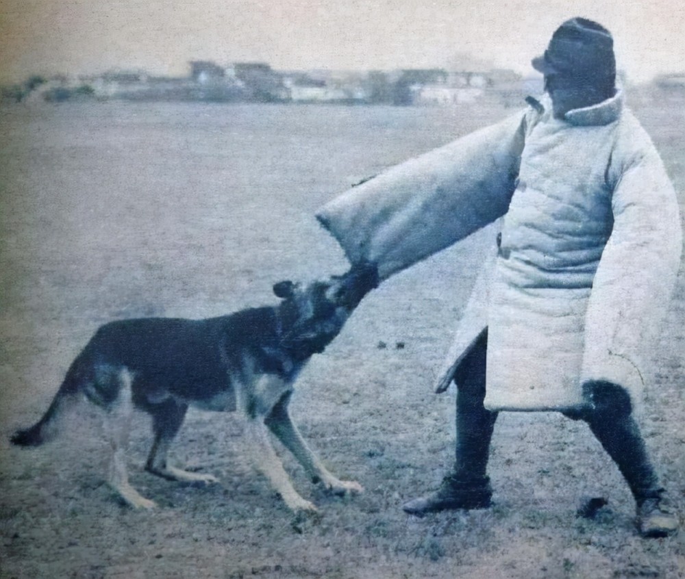 1921年日军逼供19岁杨岭梅将其钉在墙上使用的酷刑堪比凌迟