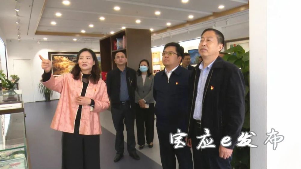 党史学教江苏省委党史学习教育第三巡回指导组来宝应巡查指导
