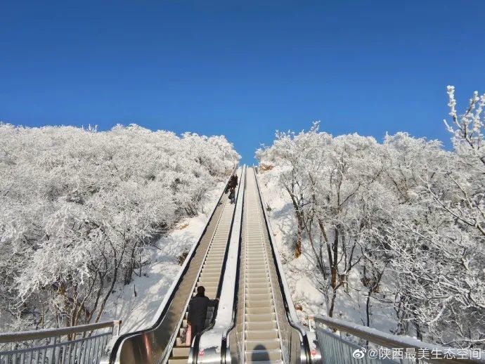 寻找陕西最美生态空间|龙头山森林公园