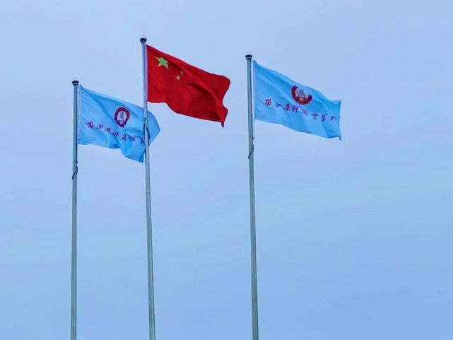 大厦 建筑 旗 旗帜 旗子 641_481