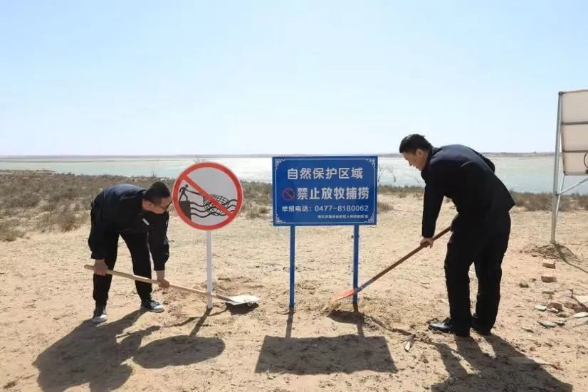 室检测湿地水质,制作,设立16个禁止放牧捕鱼的宣传牌发挥教育警示作用