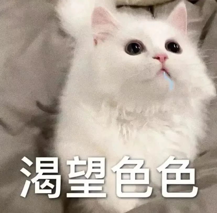 抖音表情包1029