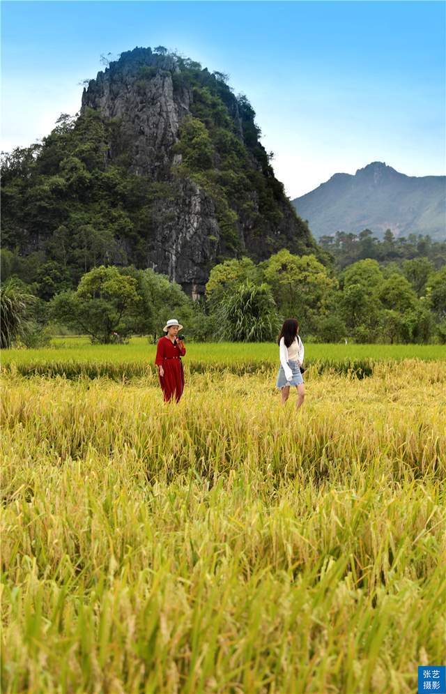 马兰田垌里,良田千顷纵横交错,依季节变换,春为翠绿秋为黄,极尽国画