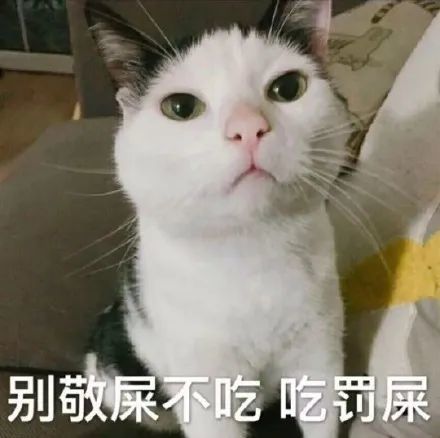 表情包好烦人呀