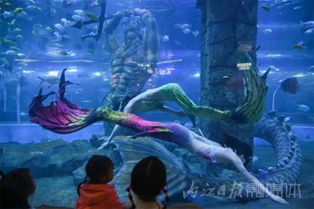 你去看了吗|美人鱼|内江|赵怡静|海底世界|新冠疫苗