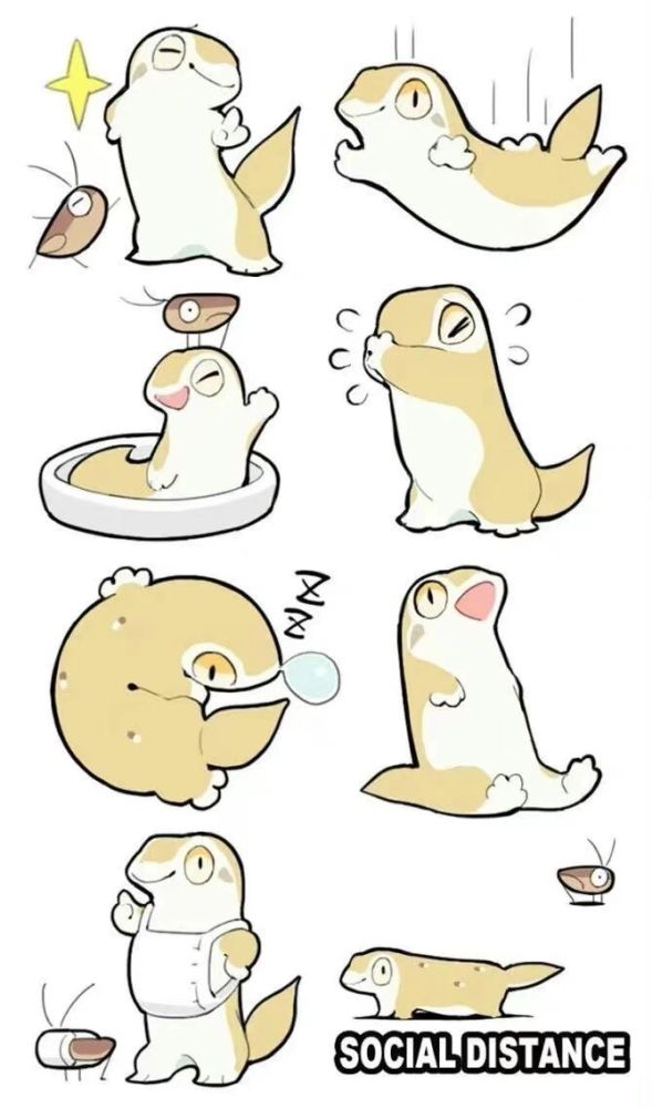 超可爱圆滚滚的的肥啾们来自画师hiyo的作品