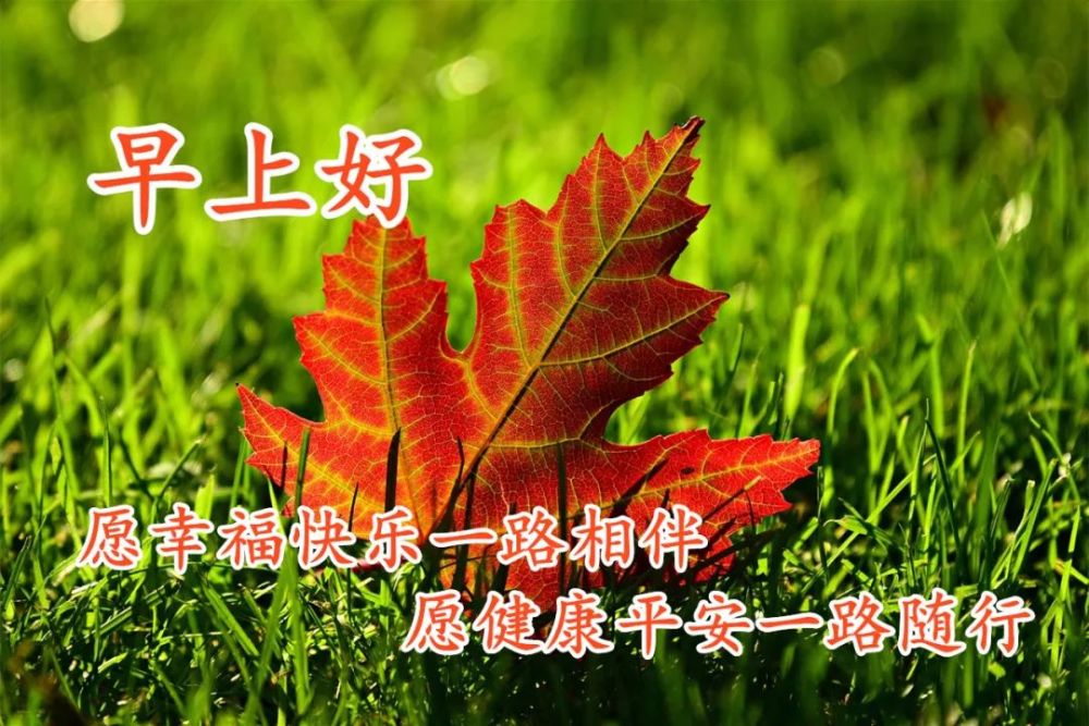 最新创意好看的秋日清晨早上好祝福图片带字,早安祝福