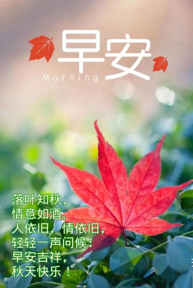 最新创意好看的秋日清晨早上好祝福图片带字早安祝福语短信大全