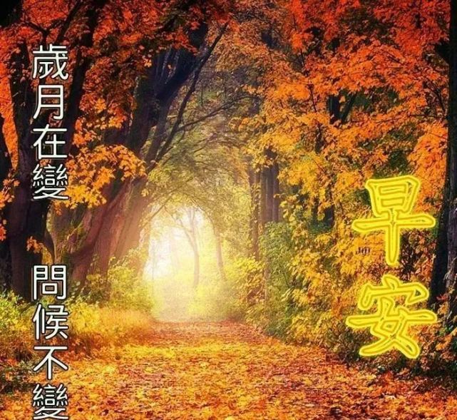 人老人少健康就好;家穷家富和气就好;一切烦恼理解就好;人的一生平安
