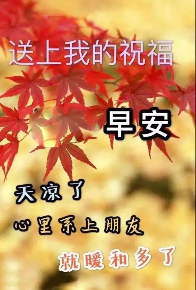最新创意好看的秋日清晨早上好祝福图片带字,早安祝福