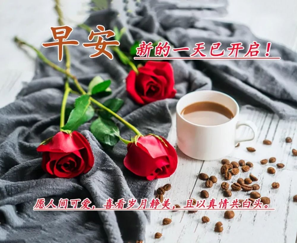 清晨早上好暖心问候祝福语句最新早安问候语图片表情