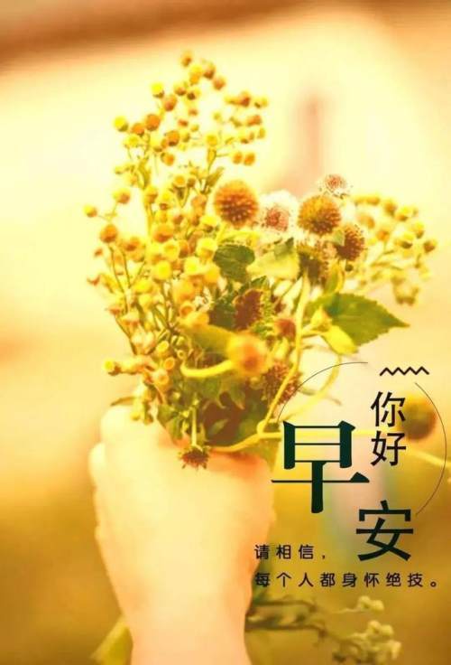 早安!7,变换的是气候,不变的是问候!流走的是岁月,留住的是真情!