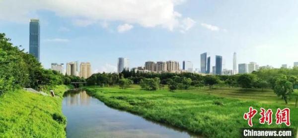 美丽的深圳市福田河(资料图) 珠江委 供图