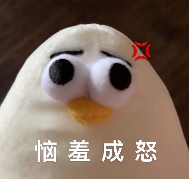 海鸥表情包合集