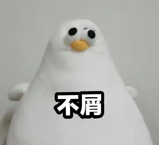 海鸥表情包合集