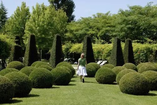 庭院造景植物养护篇乔木灌木养护知识