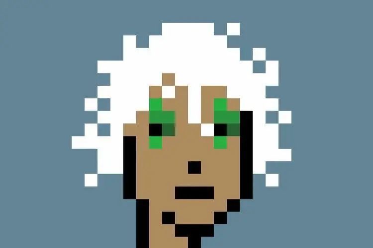CryptoPunk头像合集,CryptoPunk 价值5亿美元的cryptopunk?为什么这次nft的破纪录销售似乎有所不同