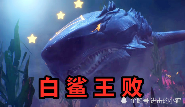 斗罗大陆蓄力破发唐三施展昊天九绝一击敲晕魔魂大白鲨