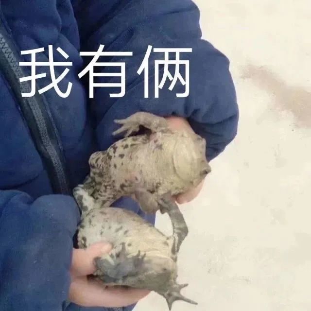 表情包我有俩分你一个