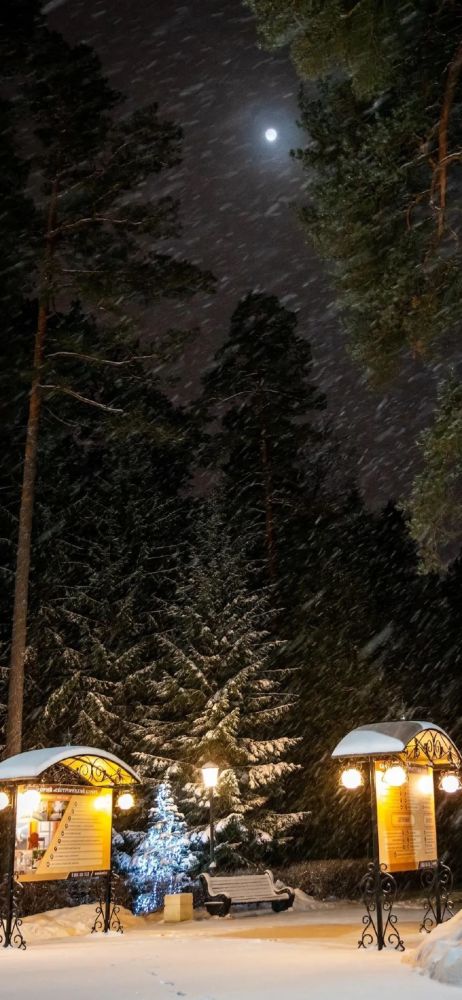 壁纸冬日寒冷雪景高清手机壁纸